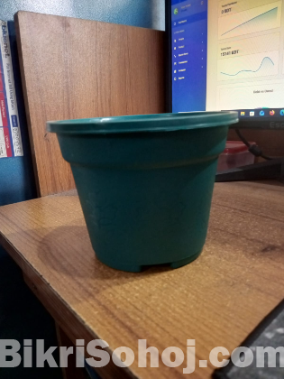 রাউন্ড প্লান্টার ৬